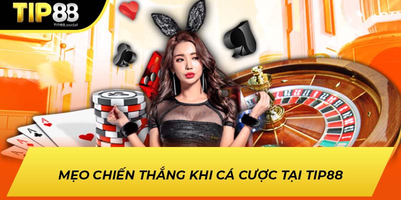 Mẹo chiến thắng khi cá cược tại TIP88 Mẹo chiến thắng khi cá cược tại TIP88