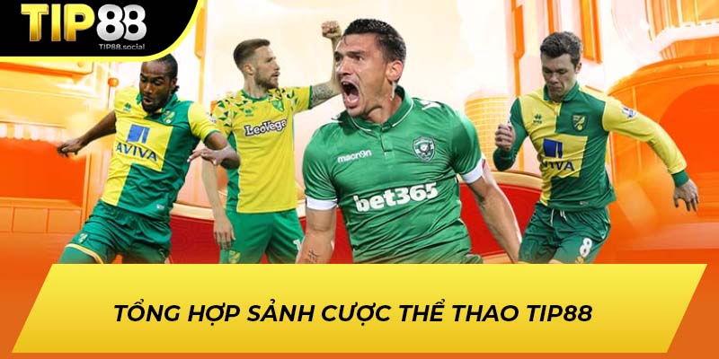 Tổng hợp sảnh cược thể thao có mặt trên TIP88