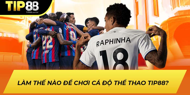 Làm thế nào để chơi cá độ thể thao tại TIP88?