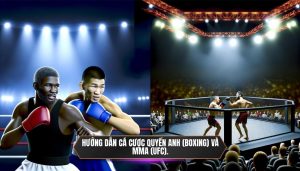 Hướng dẫn cá cược Quyền Anh (Boxing) và MMA (UFC).